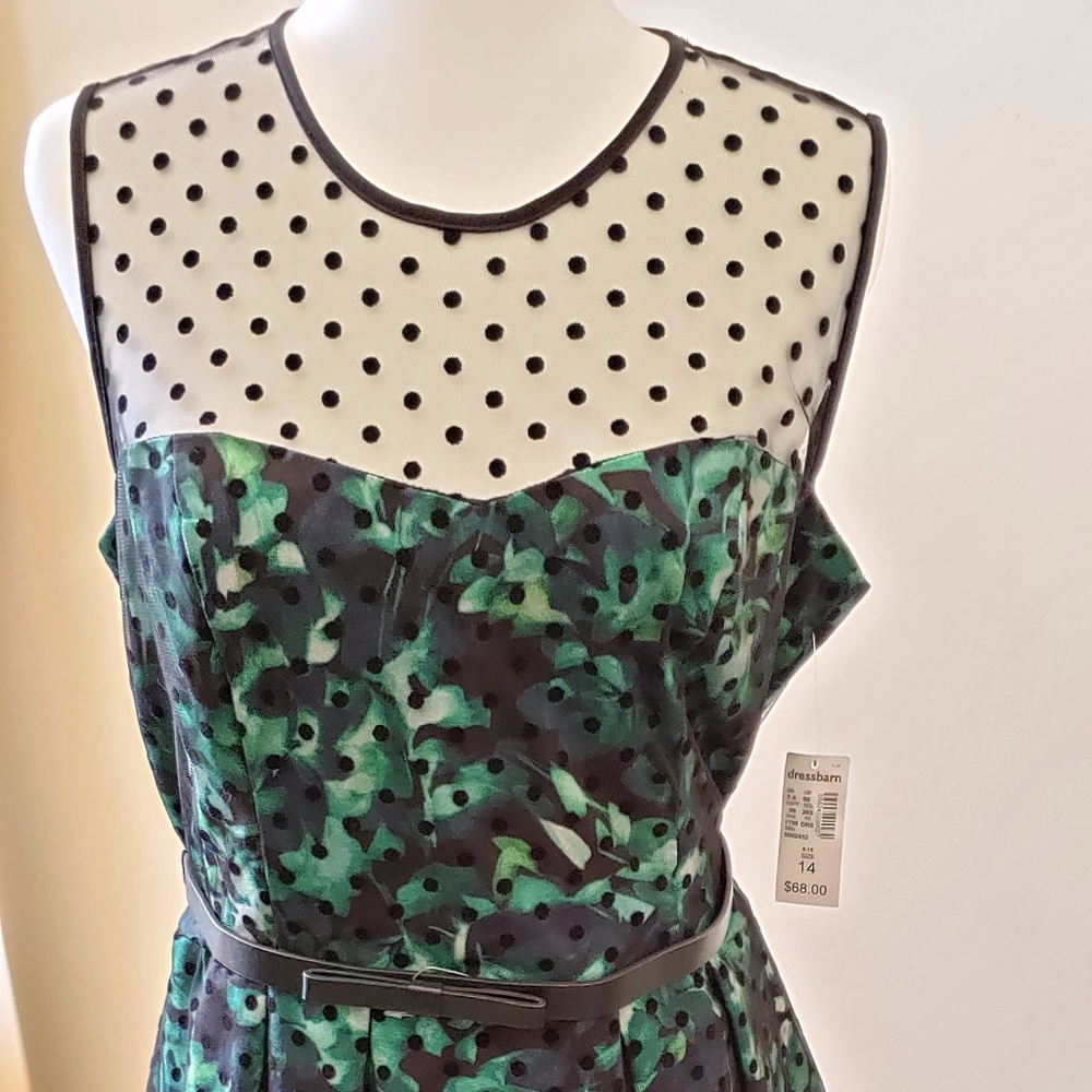 dressbarn Special Occasion Fit & Flare Dress